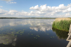 124 Spiegelung am Federsee