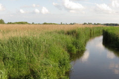 125 Spaziergang ber den 1,9 km langen Steg