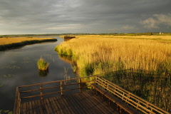 42 Aussichtsterrasse am See bei grandioser Lichtstimmung