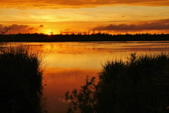 47 Abendstimmung am Federsee