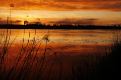 49 Abendstimmung am Federsee