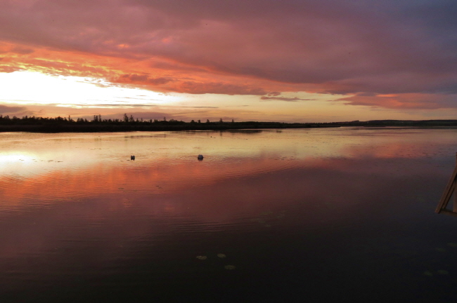 51 Abendstimmung am Federsee