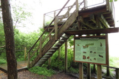 61 Aussichtsturm im Wackelwald