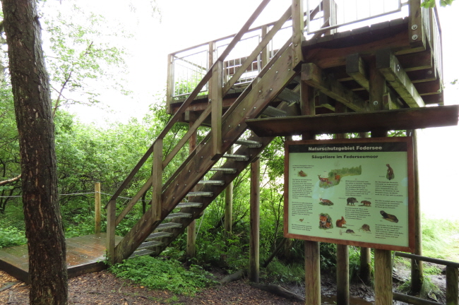 61 Aussichtsturm im Wackelwald