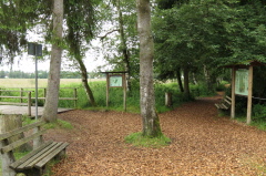 62 im Wackelwald