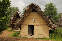 77 Siedlung Taubried, Jungsteinzeit
