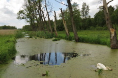 88 Federseekanal zur Linken