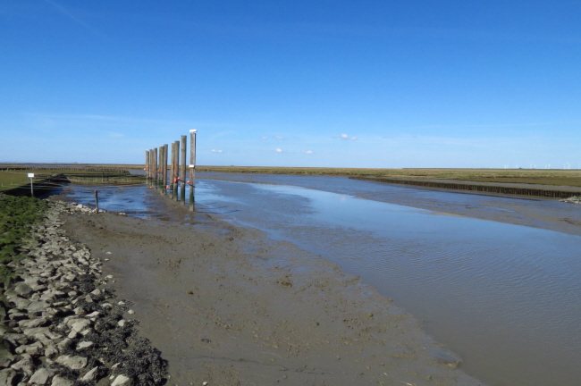 21 an der Sönke-Nissen-Koog-Schleuse